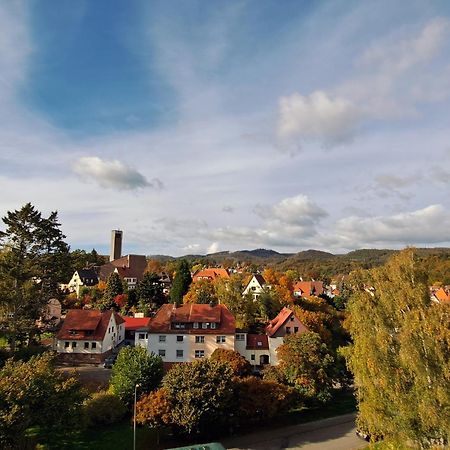 Apartamento Das Kleine Penthouse Mit Kamin Bad Sachsa Exterior foto